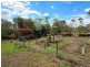 9 Island Close, Pacific Haven QLD 4659