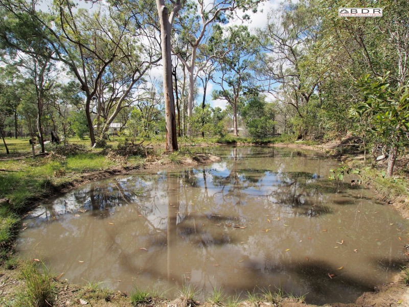 203 Pacific Haven Cct, Pacific Haven QLD 4659