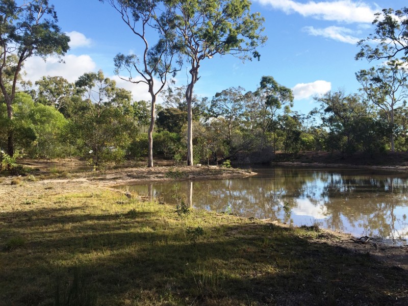 Pacific Haven QLD 4659