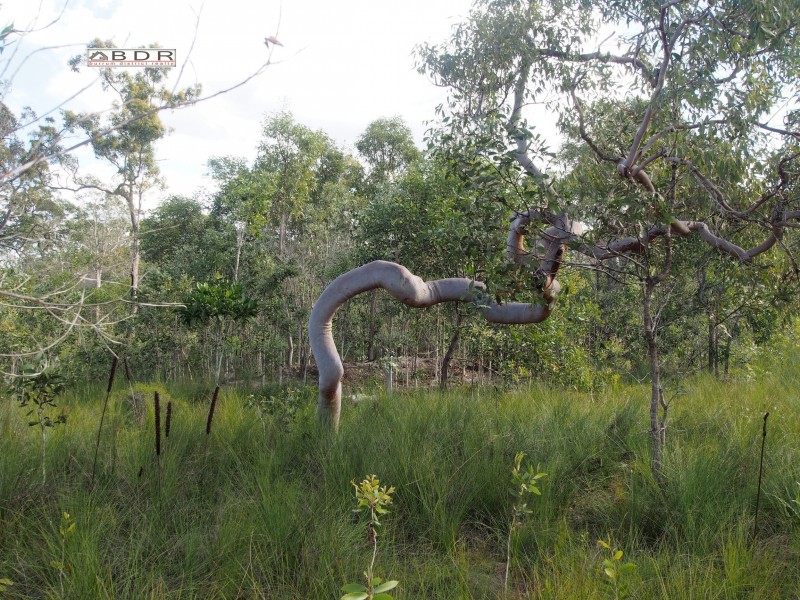 420 Pacific Haven Drive, Pacific Haven QLD 4659