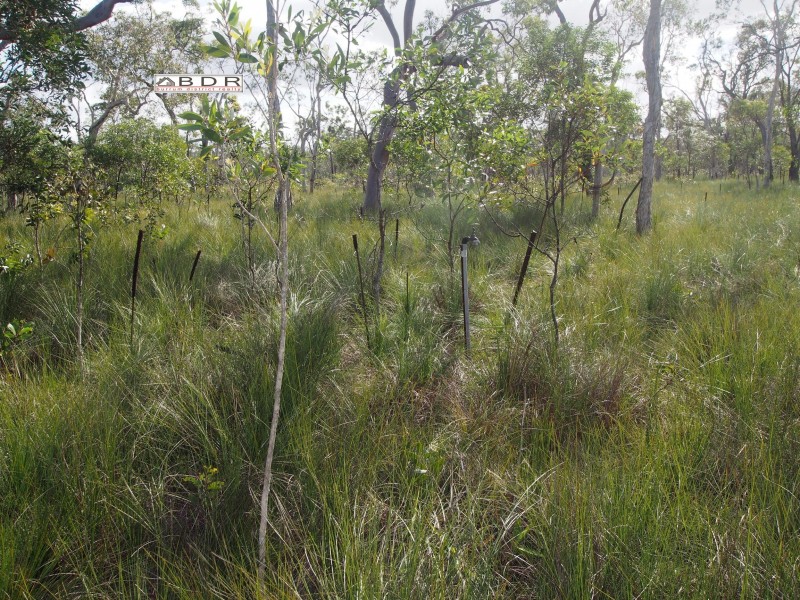 420 Pacific Haven Drive, Pacific Haven QLD 4659