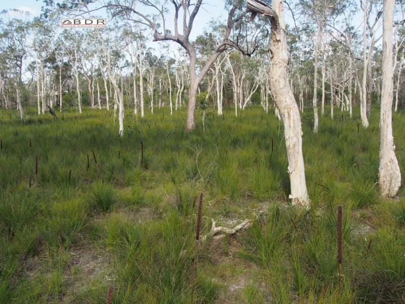 420 Pacific Haven Drive, Pacific Haven QLD 4659