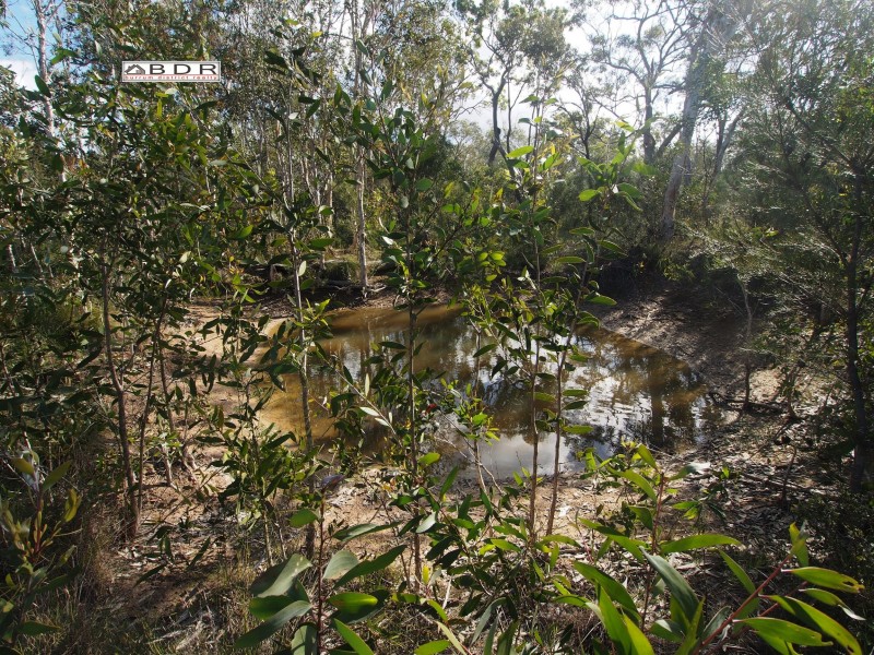 420 Pacific Haven Drive, Pacific Haven QLD 4659