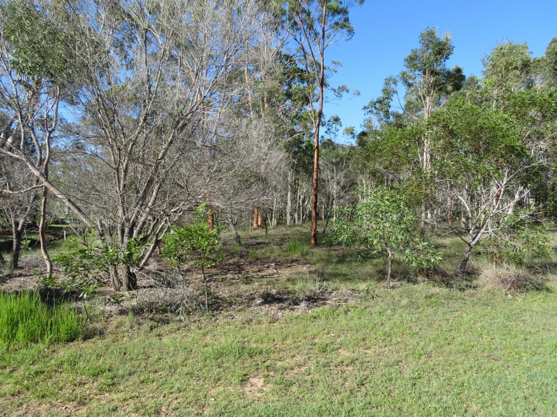 17 Southfork Cct, Burrum Heads QLD 4659