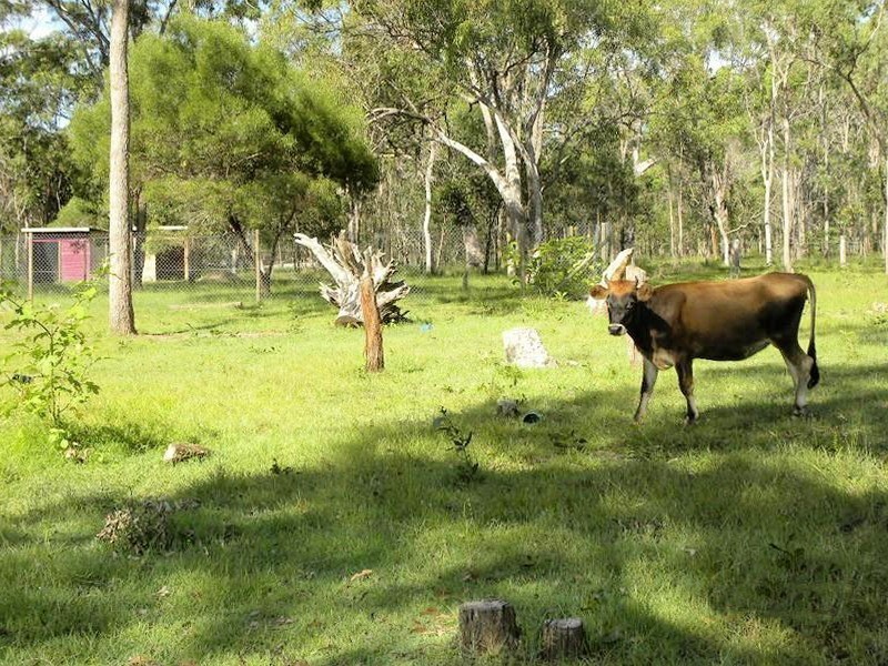 216 Old Toogoom Road, Beelbi Creek QLD 4659