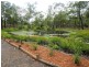 19-21 Gina Crt, Burrum Heads QLD 4659