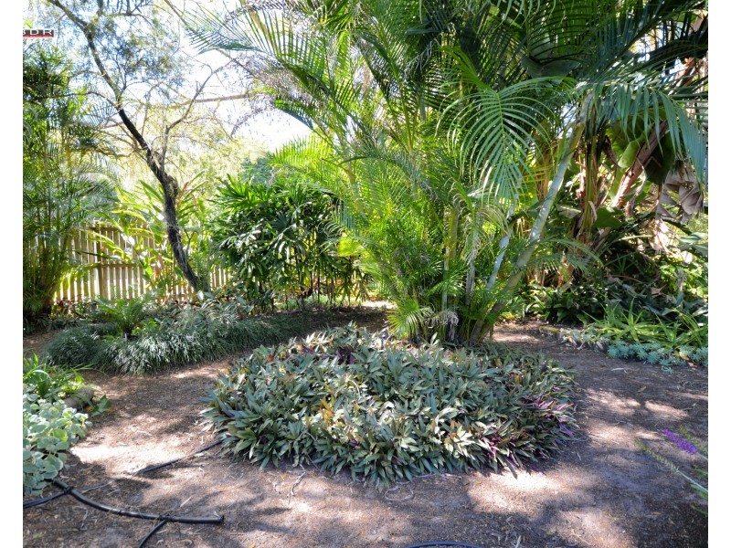 22 Lower Thomas Street, Howard QLD 4659