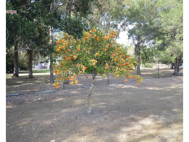 35 Diamantina Drive, Howard QLD 4659