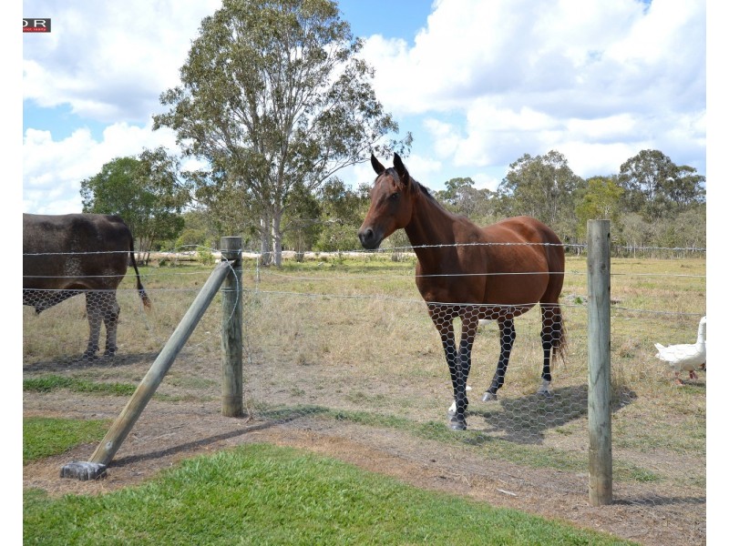 110 132 Government Rd, Burrum River QLD 4659