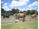 110 132 Government Rd, Burrum River QLD 4659