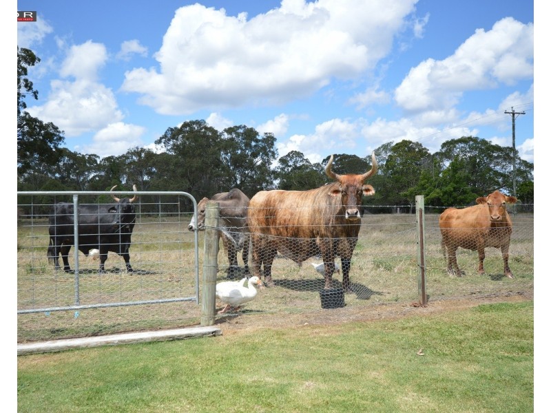 110 132 Government Rd, Burrum River QLD 4659
