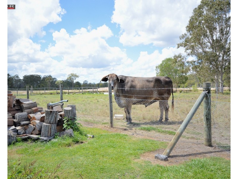110 132 Government Rd, Burrum River QLD 4659