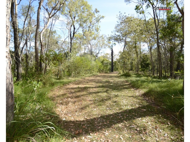 14 Cherwell Cresent, Pacific Haven QLD 4659