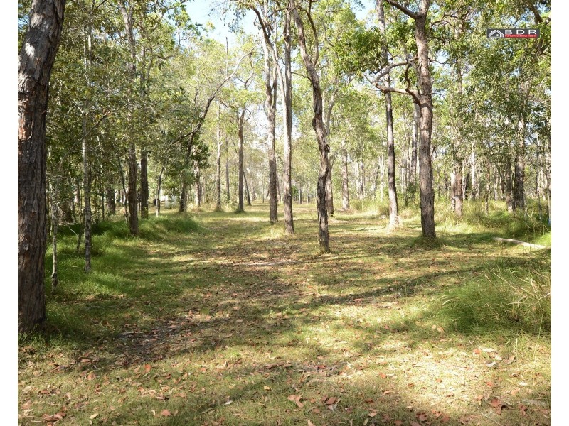 14 Cherwell Cresent, Pacific Haven QLD 4659