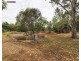 126 Pacific Haven cct, Pacific Haven QLD 4659