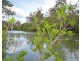 126 Pacific Haven cct, Pacific Haven QLD 4659