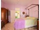 41 Thomas Street, Howard QLD 4659