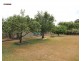 41 Thomas Street, Howard QLD 4659