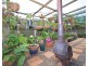 5 Smith Street, Buxton QLD 4660