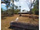 11 Island Close, Pacific Haven QLD 4659