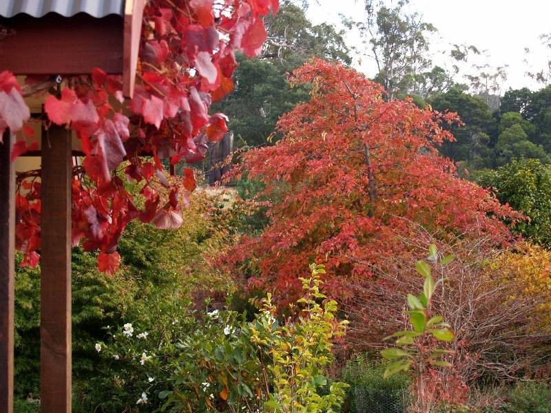 266 Windermere Road, Windermere TAS 7252