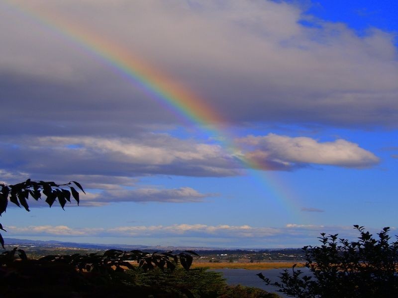 266 Windermere Road, Windermere TAS 7252