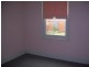 43 Balfour Street, Launceston TAS 7250