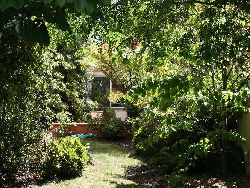 49 Alpine Crescent, Grindelwald TAS 7277