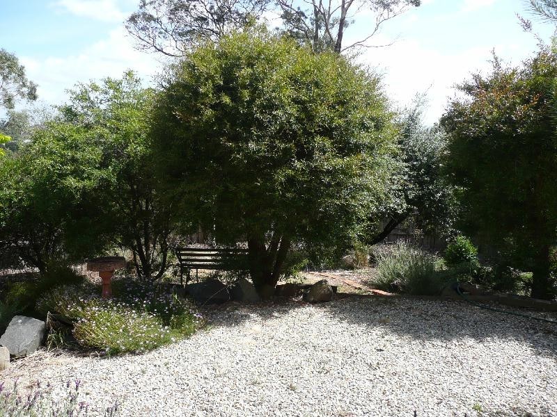 20 Coniston Place, Trevallyn TAS 7250