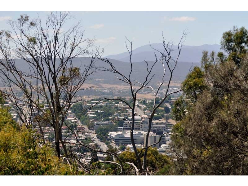 17 Wilhelmina Avenue, West Launceston TAS 7250