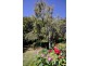 21 Macquarie Street, Evandale TAS 7212