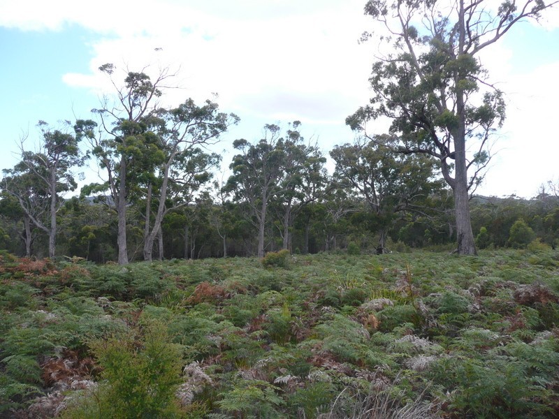 300 Badgers Head Road, Clarence Point TAS 7270