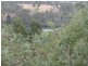 92 Panorama Road, Blackstone Heights TAS 7250