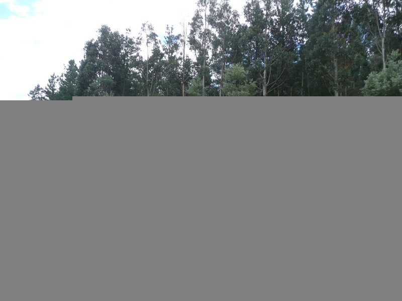 92 Panorama Road, Blackstone Heights TAS 7250