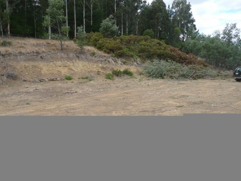 92 Panorama Road, Blackstone Heights TAS 7250