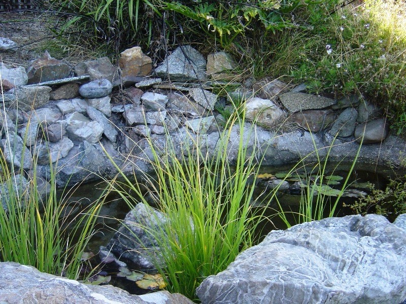 148 Westwood Street, Bridport TAS 7262