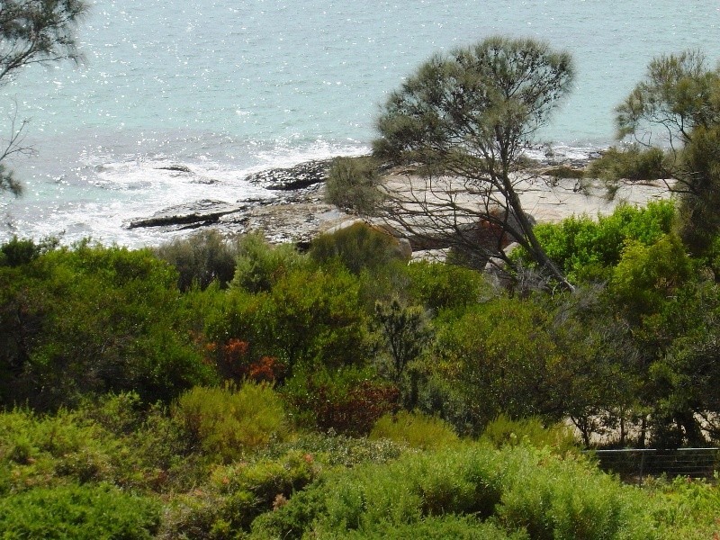 148 Westwood Street, Bridport TAS 7262