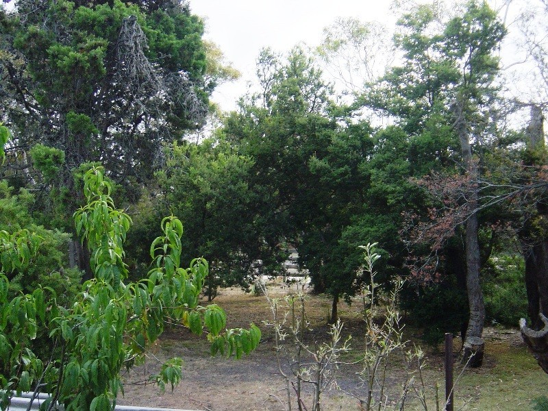 1 Westwood Street, Bridport TAS 7262