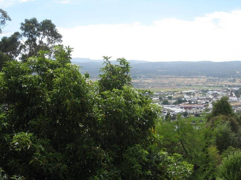 6 Dandenong Road, Trevallyn TAS 7250