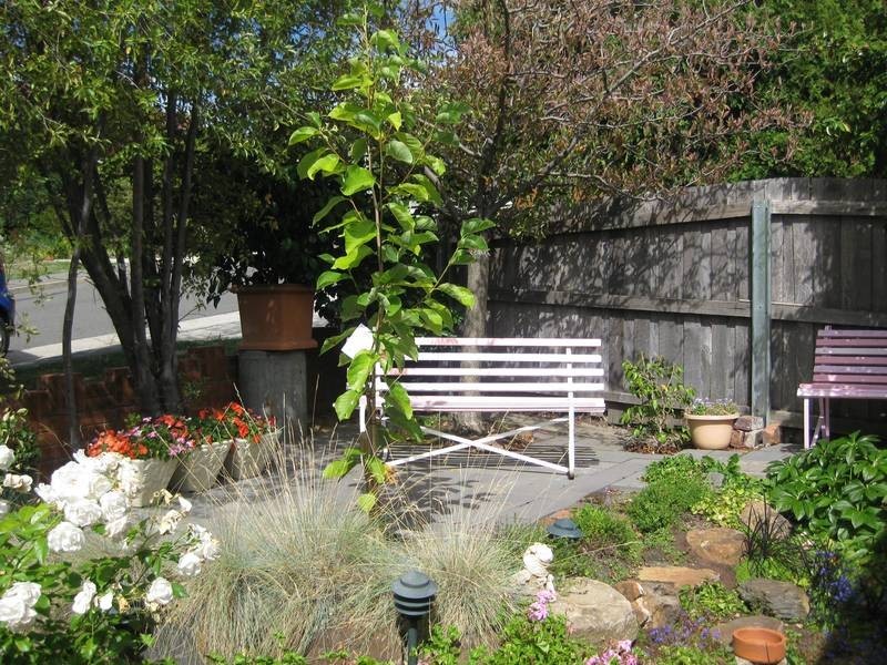 6 Dandenong Road, Trevallyn TAS 7250