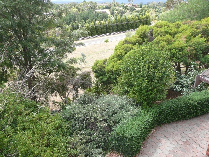 18 Mountain View Crescent, Grindelwald TAS 7277