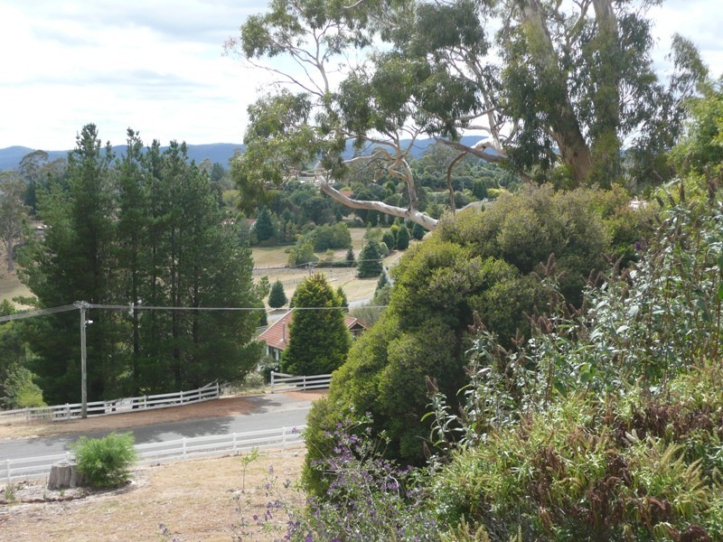 18 Mountain View Crescent, Grindelwald TAS 7277