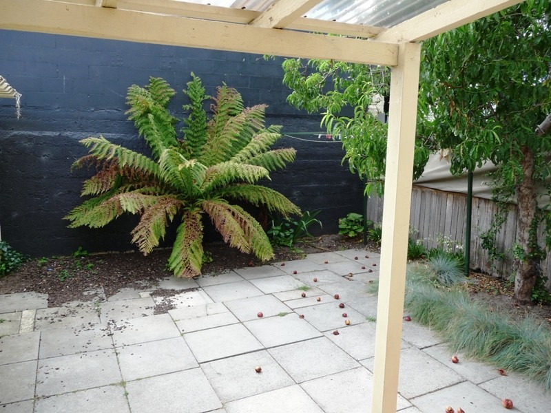 19a Glen Dhu Street., South Launceston TAS 7249