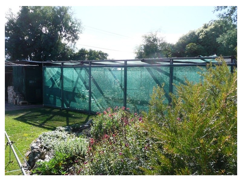 1 Main Road, Perth TAS 7300