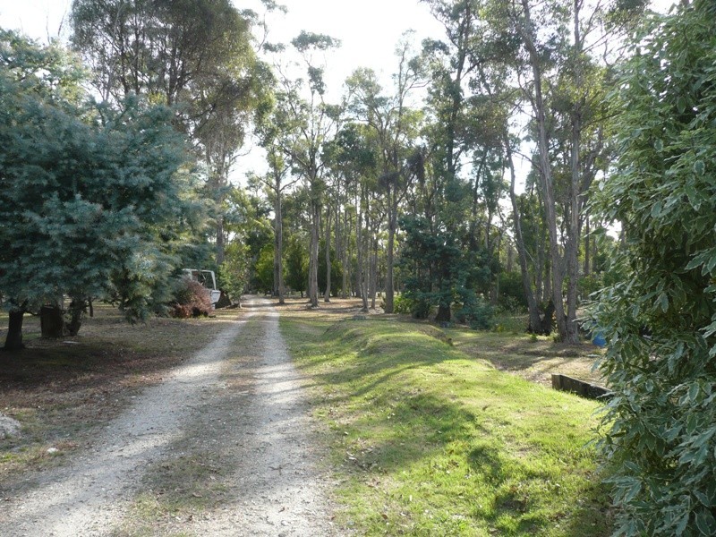 614 Greens Beach Road, York Town TAS 7270