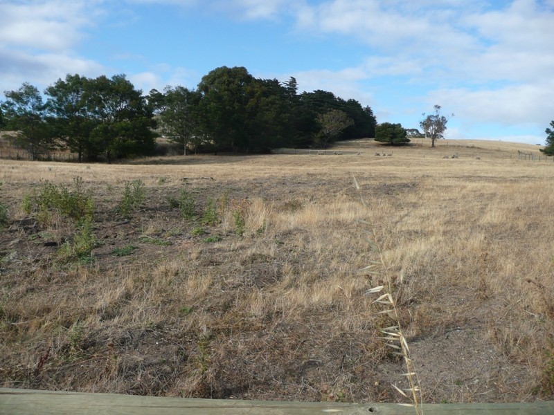 Lot 5, 139a Rosevears Drive, Rosevears TAS 7277