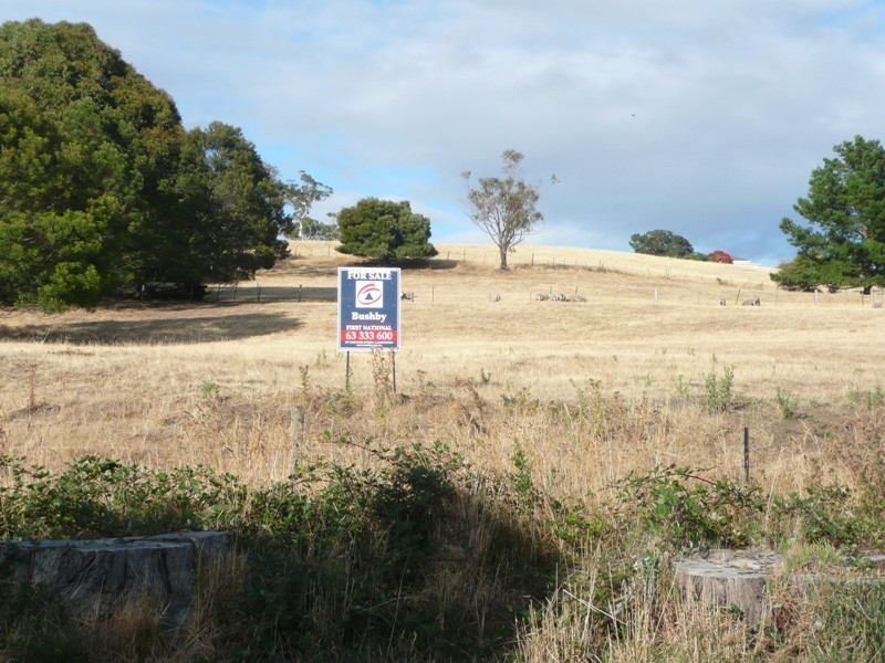 Lot 5, 139a Rosevears Drive, Rosevears TAS 7277