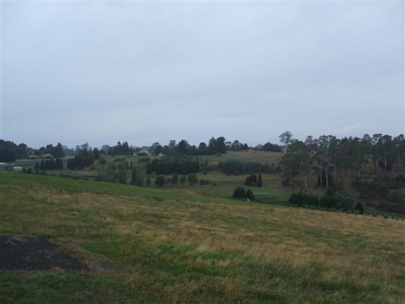 22 Skyline Avenue, Grindelwald TAS 7277