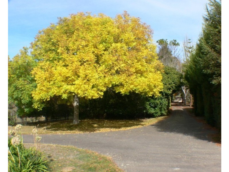 712 Deviot Road, Deviot TAS 7275