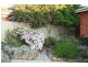 5 Caroline Street, Prospect TAS 7250